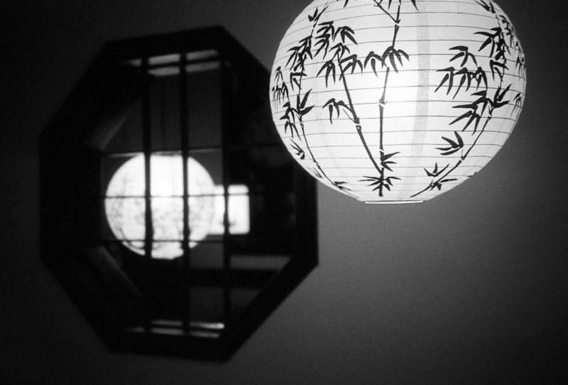 XA_FP400_Rodinal6min_10minFixer_March_2014528