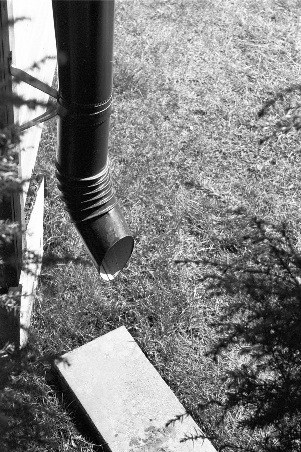 ZORKI_1_FOMAPAN_100_RDL-LQ_1-50_9_min_05_2018_17_