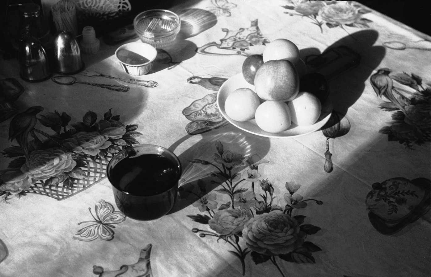 ZORKI_6_FOMA_100_RDL-LQ_-50_9_min_04_2018_8_