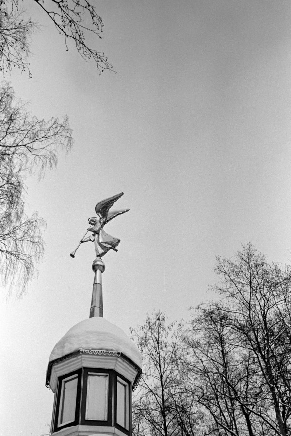 ZORKI_6_JUPITER_12_KODAK_Tmax_100_D76_1X1_9_min_30_s_february_2021_11