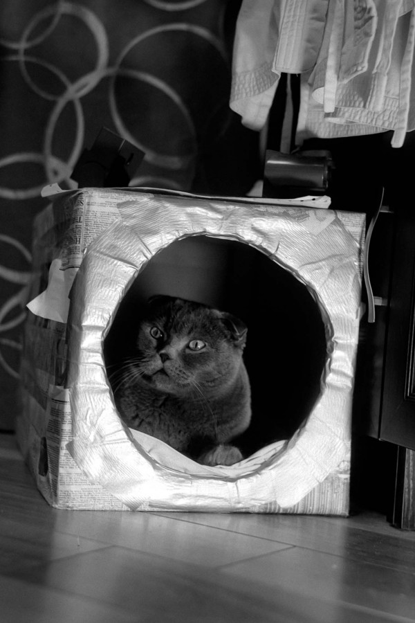 ZORKI_JPITER_8_FOMAPAN_100_at_200_RDN_LQ_1-50_21_min_30_s_marhc_2021_02