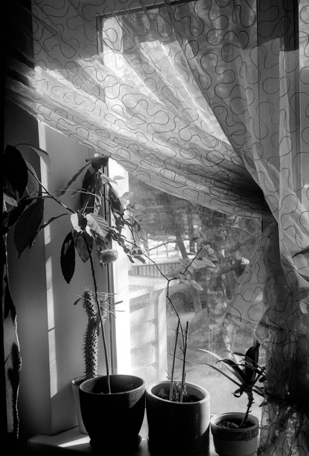 ZORKI_JPITER_8_FOMAPAN_100_at_200_RDN_LQ_1-50_21_min_30_s_marhc_2021_04