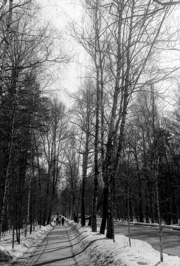ZORKI_JPITER_8_FOMAPAN_100_at_200_RDN_LQ_1-50_21_min_30_s_marhc_2021_09