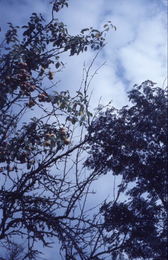 scan000213