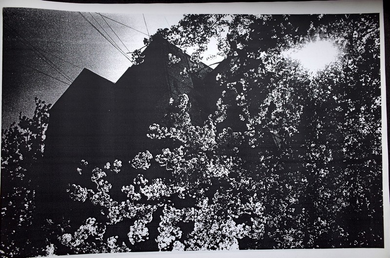 snap01_00021
