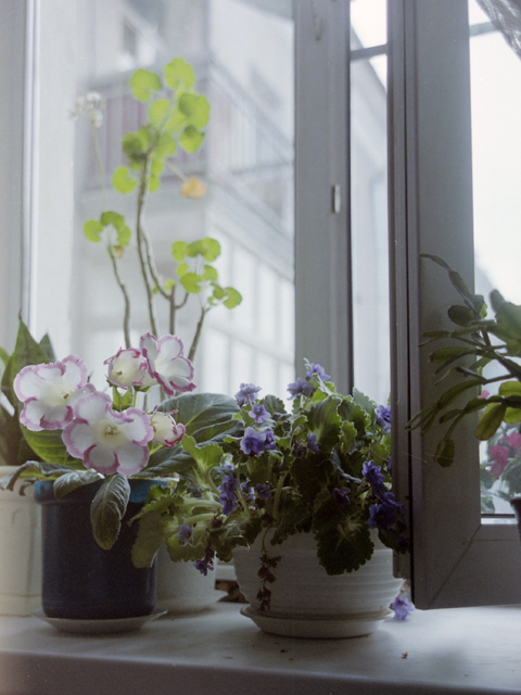 window