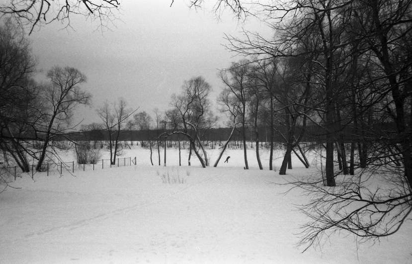 xa_20130323_021_mini