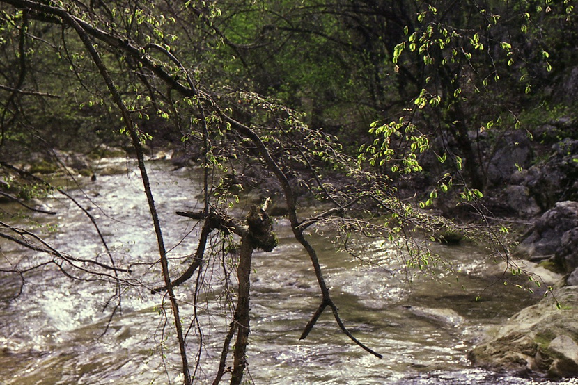img002-1