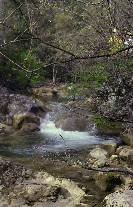 img004-11
