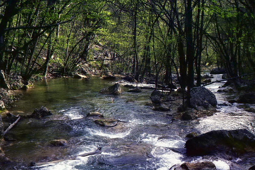 img009-11