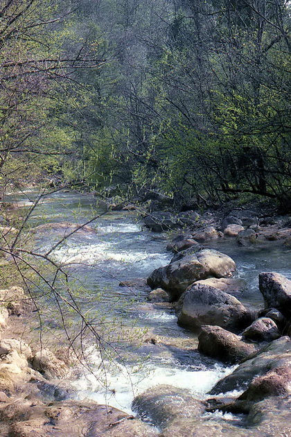 img015-1-11