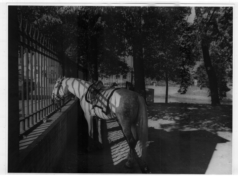 axenov_art_01