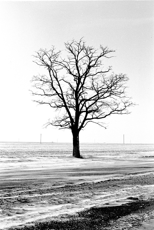 200030104