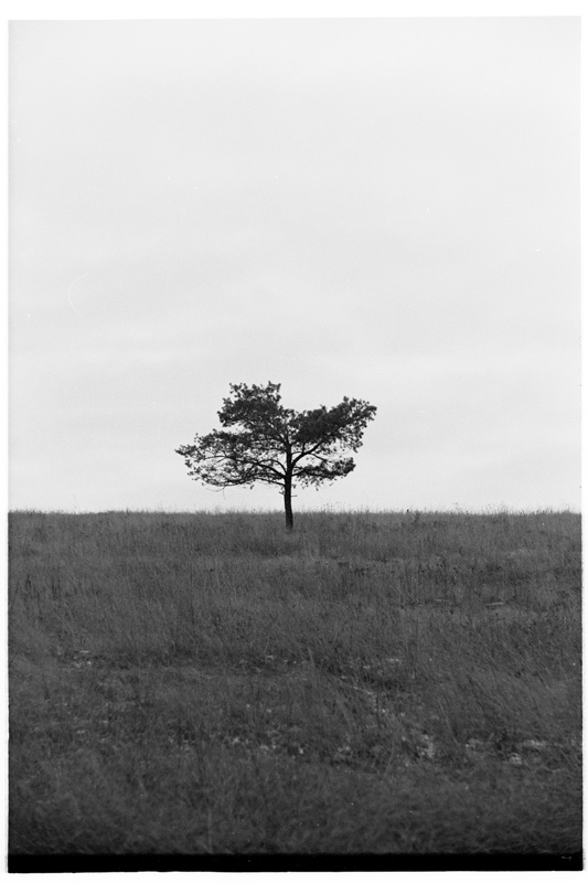 20064116