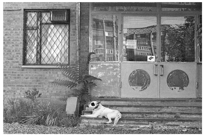 A2_rodinal_1_50_13min_1909