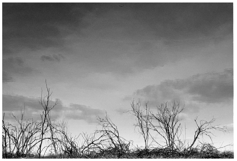 rr100_d76_0473