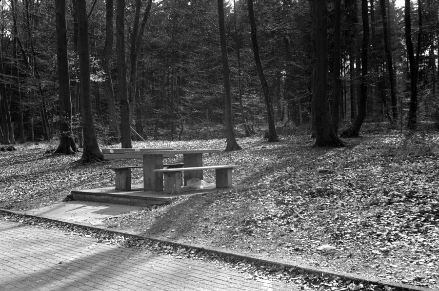 Rollei100_F2_J-8_008