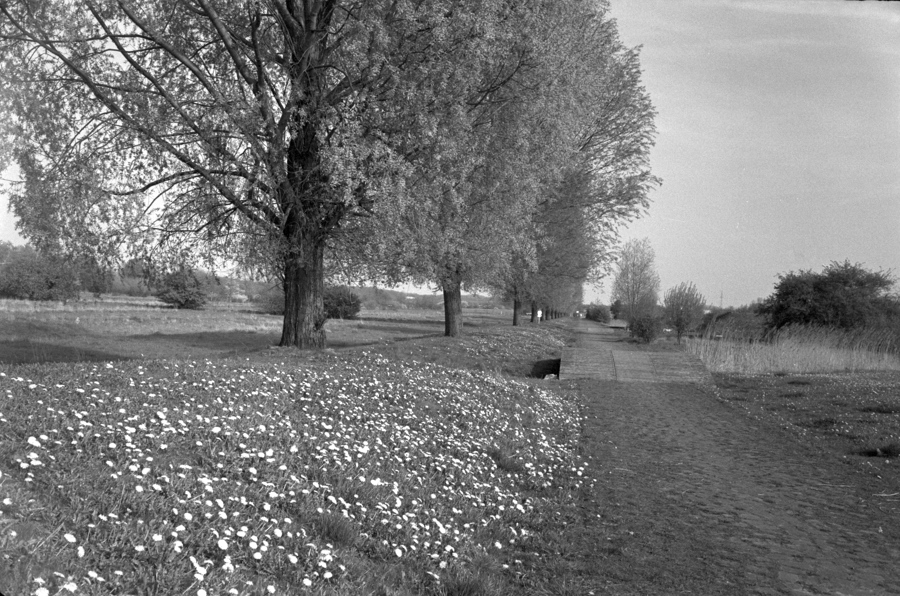 Rollei100_Z3M_J12_vuescan002