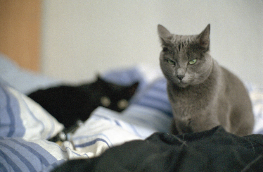 superia400RAW3