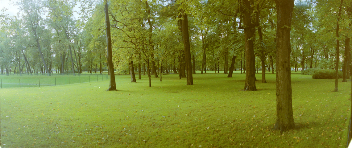 garden-2