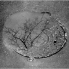 ��� �����