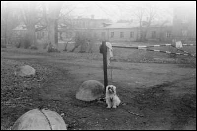May_2025_Nikon_SP_Jup_11_PAN400_0001.jpg
