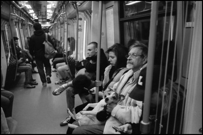 May_2025_Nikon_SP_Nikk_35_mm_PAN400_0018.jpg