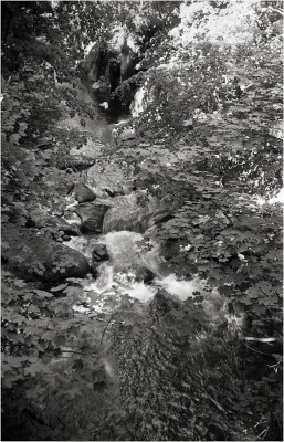 img014.JPG