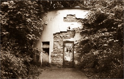 005.JPG