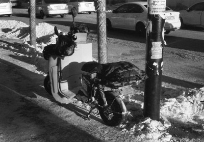 Вел развозной.jpg