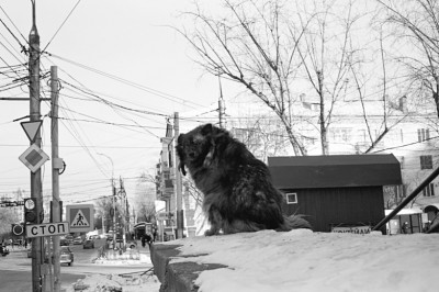 гр у танка.jpg