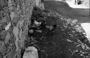 Scan-140922-0085.jpg Scan-140922-0085.jpg