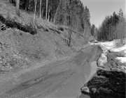 2021-04-18-0003-3w.jpg