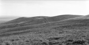 2021-06-25-0003-3w.jpg 2021-06-25-0003-3w.jpg