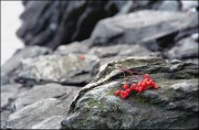 IMG01923.jpg