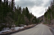 IMG02195w.jpg