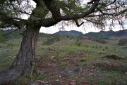 IMG02198w.jpg