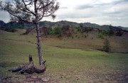IMG02206.jpg IMG02206.jpg