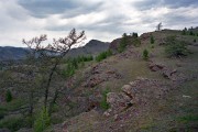 IMG02208.jpg IMG02208.jpg