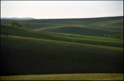 IMG02302w1.jpg