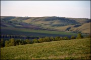 IMG02305w.jpg