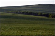 IMG02306w1.jpg IMG02306w1.jpg