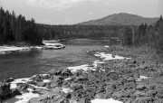 IMG06916w.jpg IMG06916w.jpg