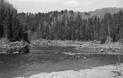 IMG06920w.jpg IMG06920w.jpg