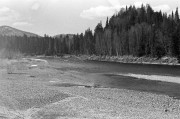 IMG06921w.jpg IMG06921w.jpg