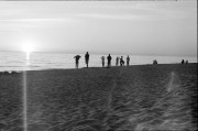 IMG_0451_e.JPG IMG_0451_e.JPG