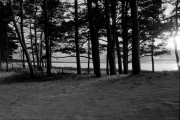 IMG_0543_e.JPG IMG_0543_e.JPG