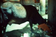 IMG_6303.JPG IMG_6303.JPG