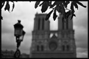 Notre_Dame_de_Paris.jpg