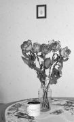ROSES-4.jpg ROSES-4.jpg